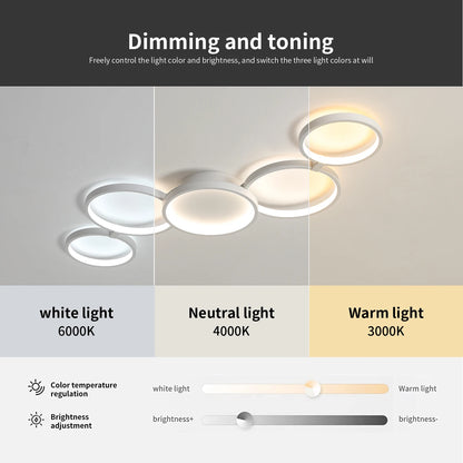 Lindby Led Ceiling Light 110V-220V 3 Colors App Bluetooth Dimming Modern Creativity Remote Control Living Room Bedroom Lamp