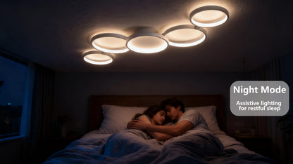 Lindby Led Ceiling Light 110V-220V 3 Colors App Bluetooth Dimming Modern Creativity Remote Control Living Room Bedroom Lamp