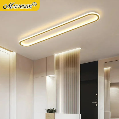 SLV Modern LED Ceiling Lights Aisle Lamp Bedroom Living Room Kitchen Ceiling Mounted Light Cloakroom Corridor Balcony Foyer Decor