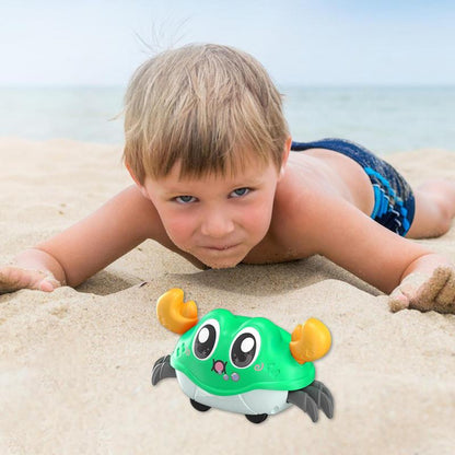 Hermit Sensing Crawling Crab Toy
