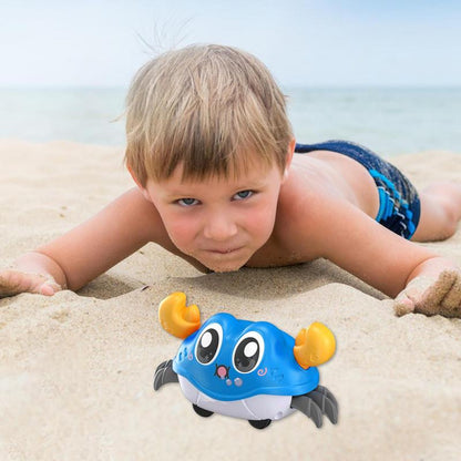 Hermit Sensing Crawling Crab Toy